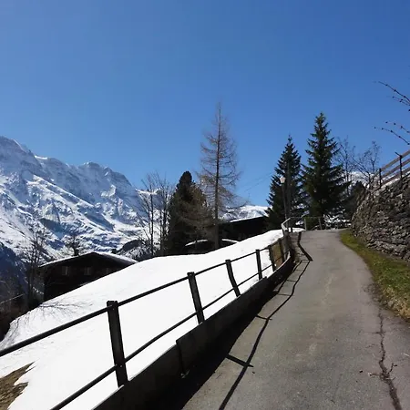 Schoenbuehl Lejlighed *