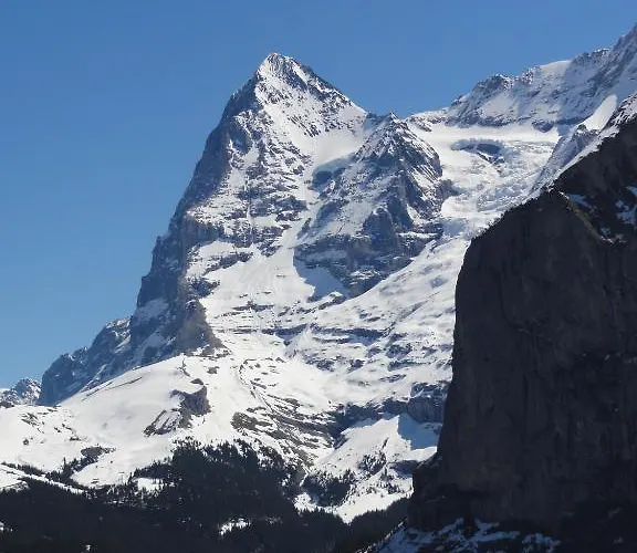 Lejlighed Schoenbuehl