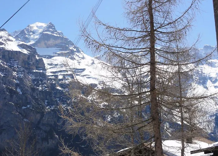 Lejlighed Schoenbuehl *