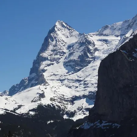 公寓 申比尔小木屋酒店
