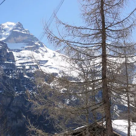 公寓 申比尔小木屋酒店 *