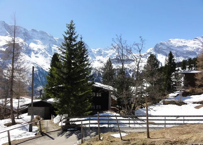Apartmán Schoenbuehl Mürren